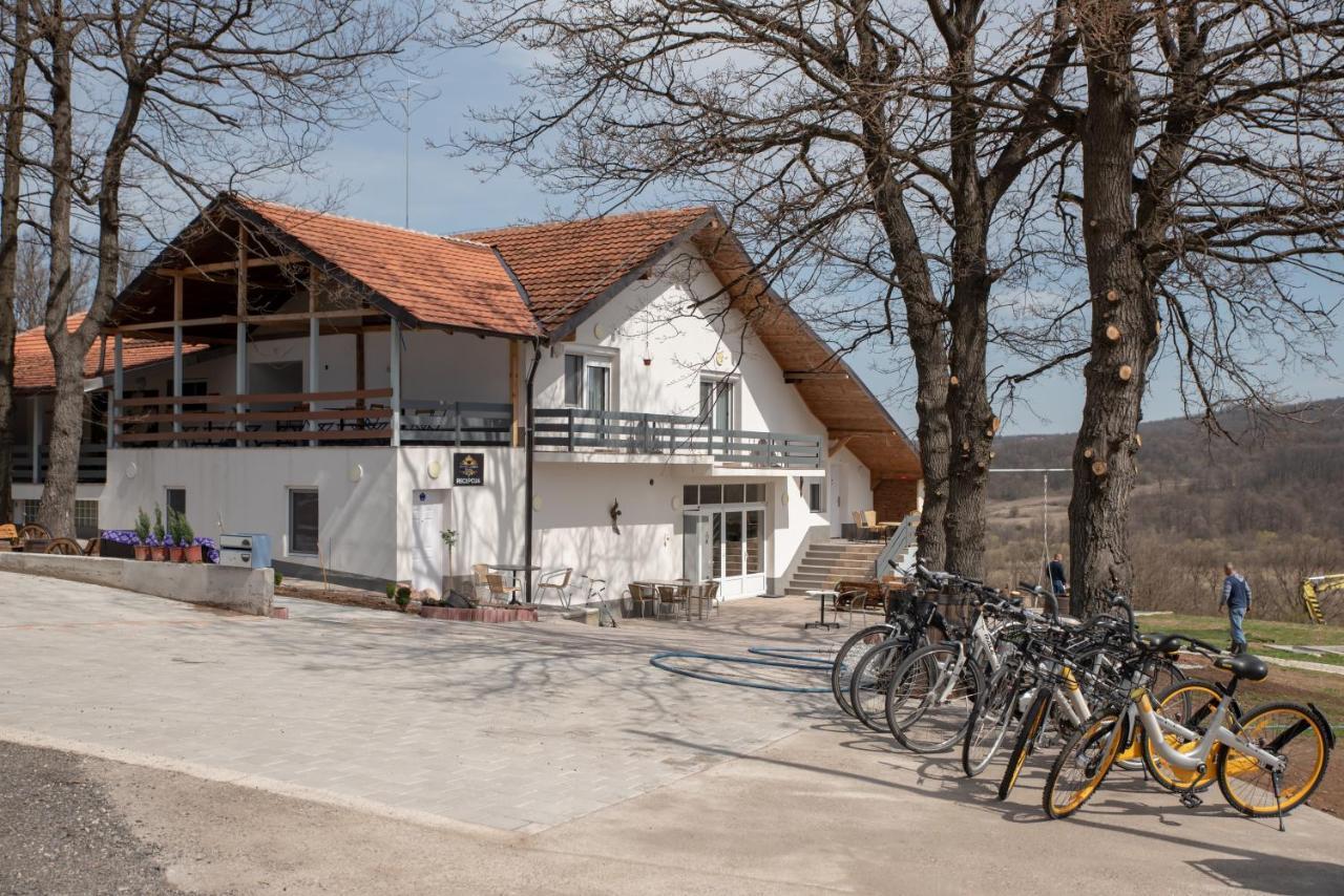 KONAK LJUBICA Rtanj Boljevac Bagian luar foto
