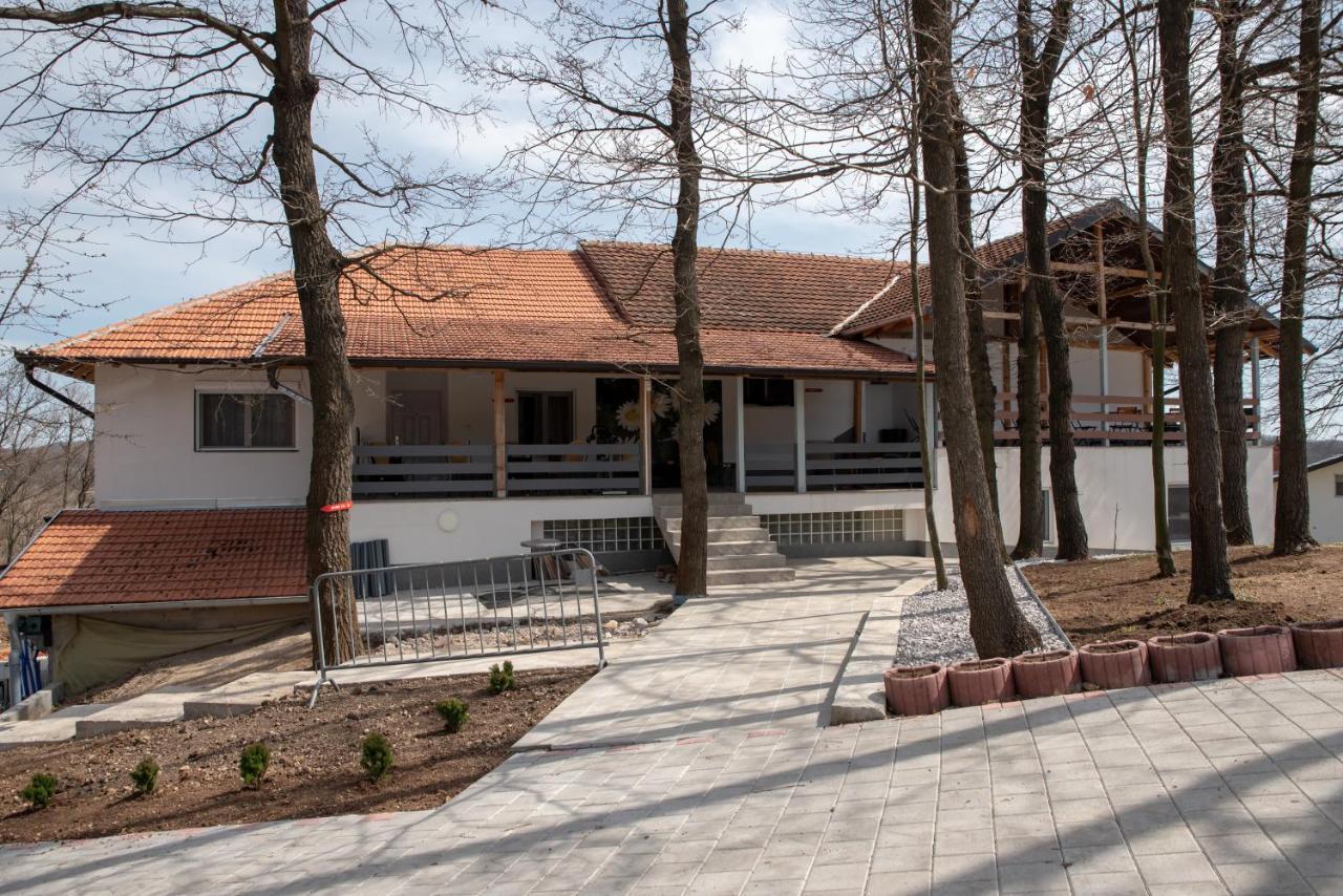 KONAK LJUBICA Rtanj Boljevac Bagian luar foto