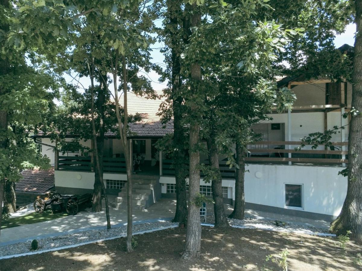 KONAK LJUBICA Rtanj Boljevac Bagian luar foto